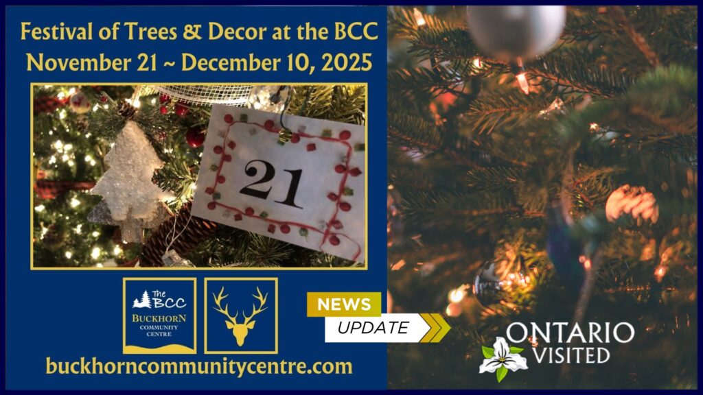 Festival of Trees and Cecor