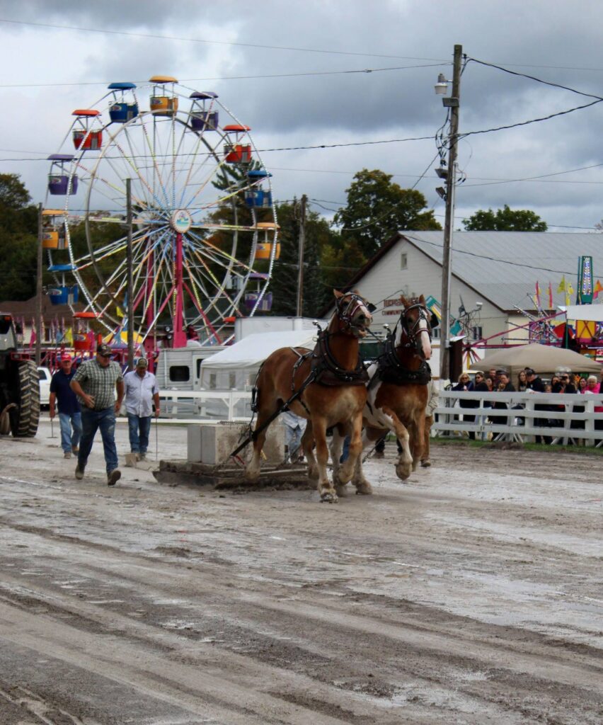 Bobcaygeon Fall Fair