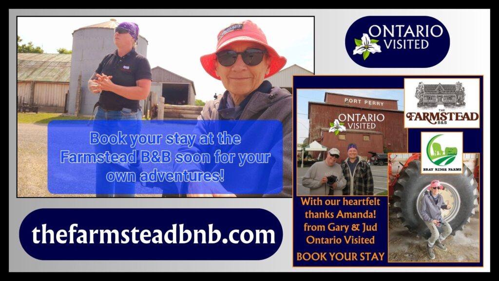 The Farmstead B & B - Book your stay