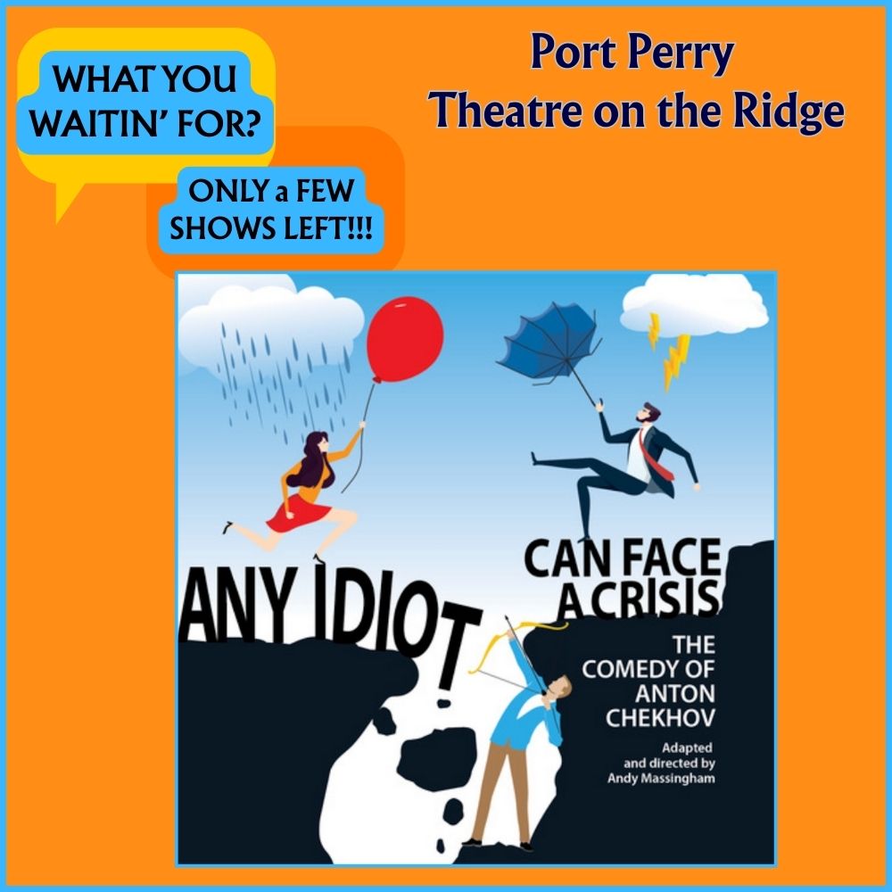 Any Idiot Play