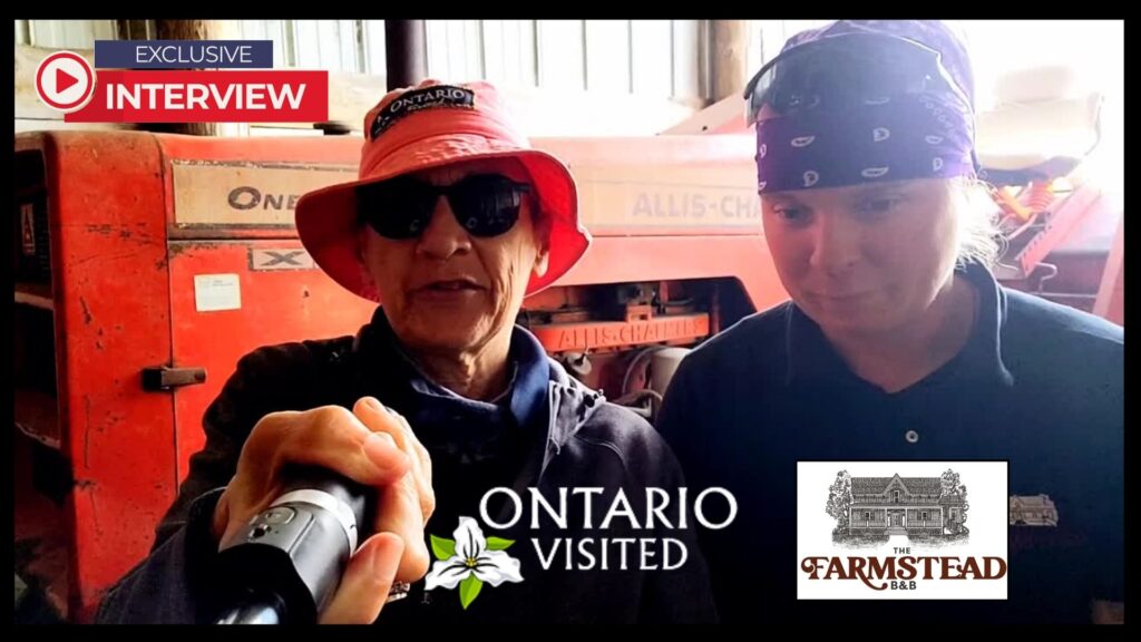 The Farmstead B&B - Interview 