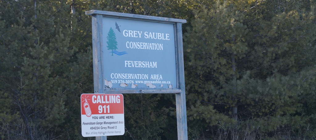 Welcome to Feversham