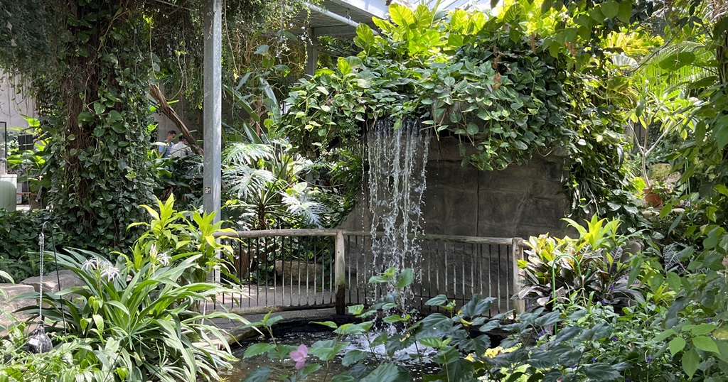 Cambridge Butterfly Conservatory