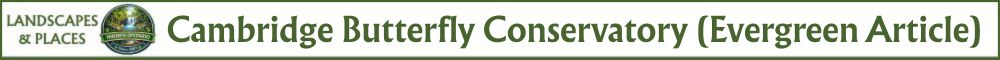 Cambridge Butterfly Conservatory