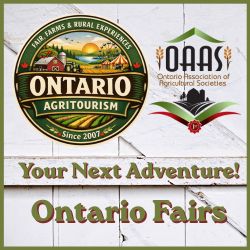 Palmerston Agricultural Fair 2026