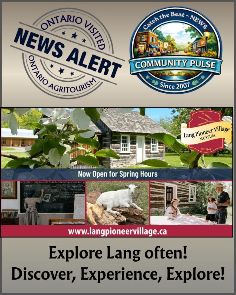 Come and explore Lang often