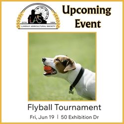 LAS Lindsay Fairgrounds Flyball Tournament Event June 2026