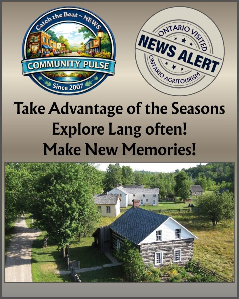 Make new memories at Lang