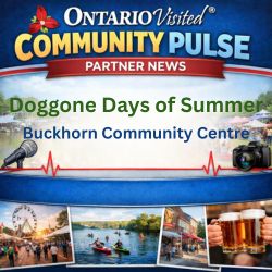 Doggone Days of Summer