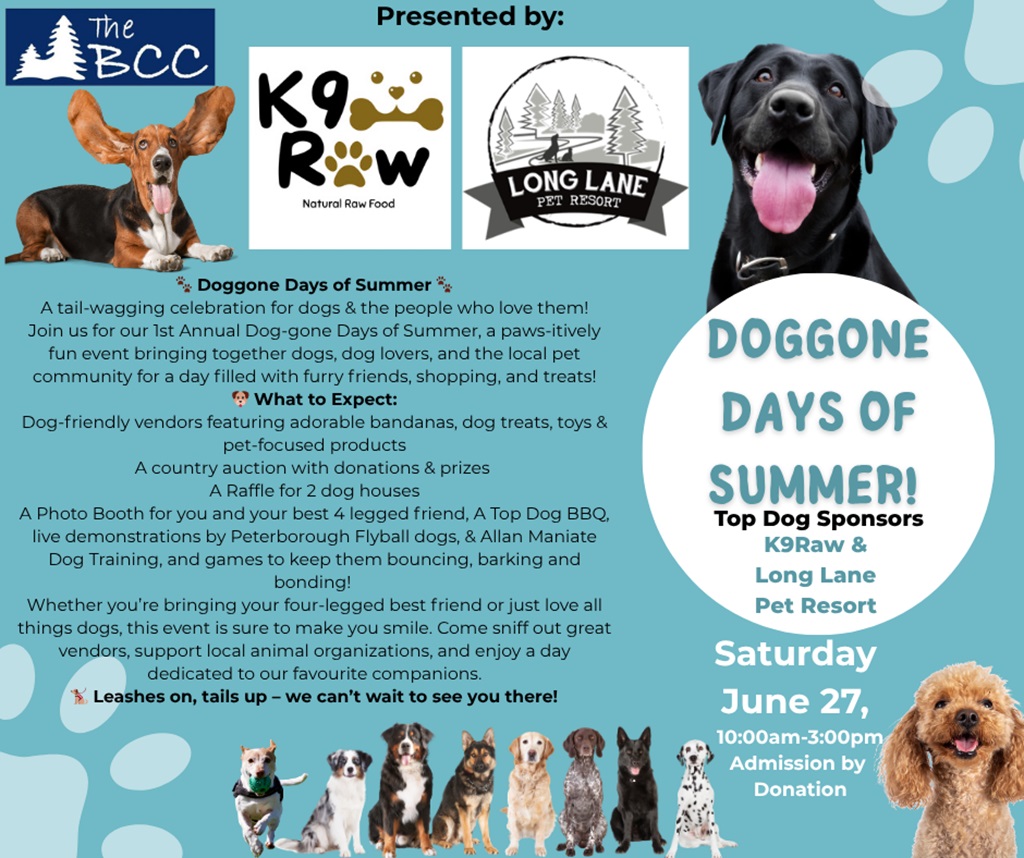 Doggone Days of Summer Poster