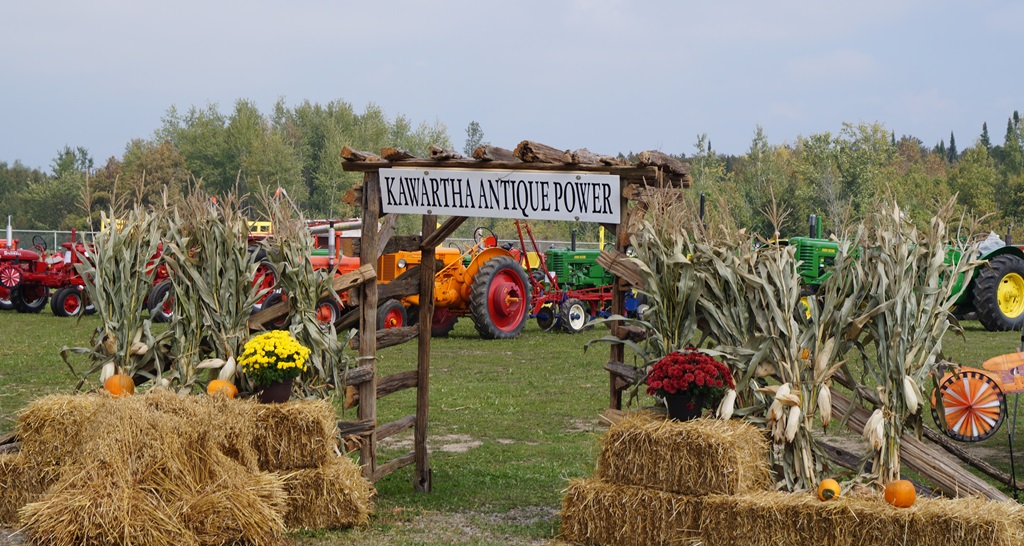 Ontario Agricultural Fair - Lindsay Exhibition