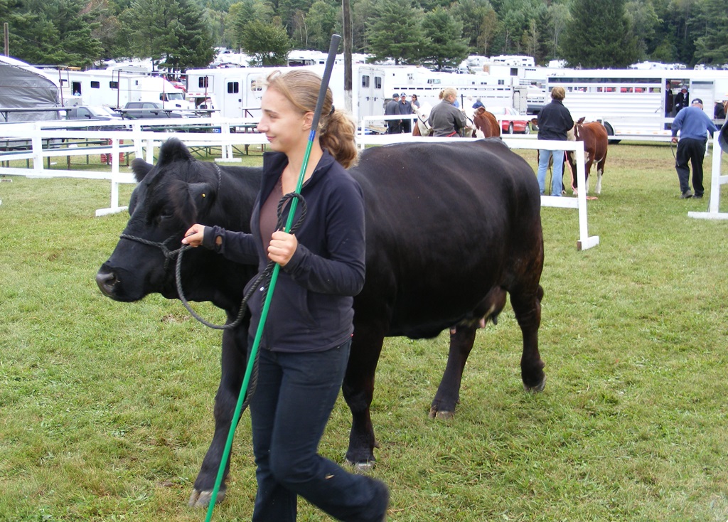 Ontario Agricultural Fairs - Kinmount Fair