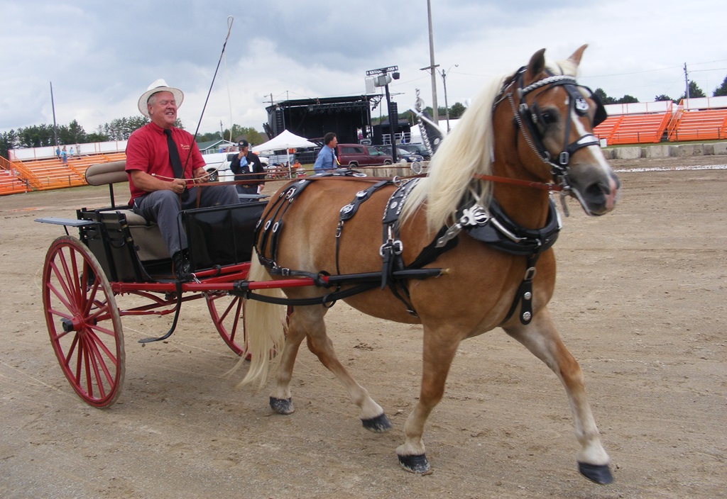 Ontario Agricultural Fairs - Paris