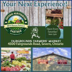 Fairgrounds Farmers Market Severn Ontario