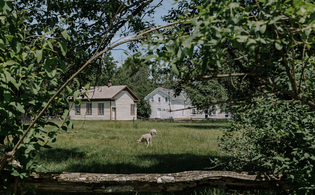 Lang Pioneer Village Museum