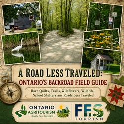 A Road Less Traveled: Ontario’s Backroad Field Guide