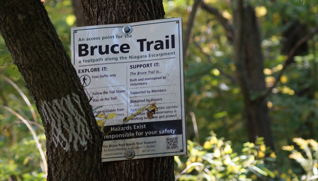 A Road Less Traveled - Bruce Trail