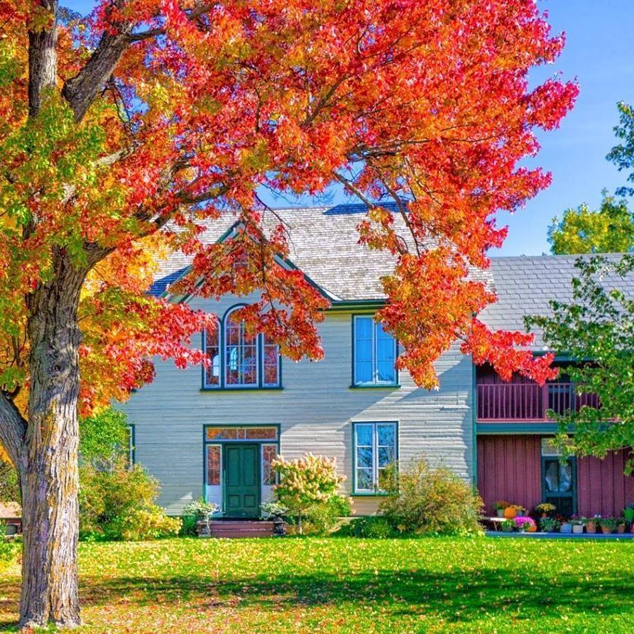 Museum Exterior in Autumn