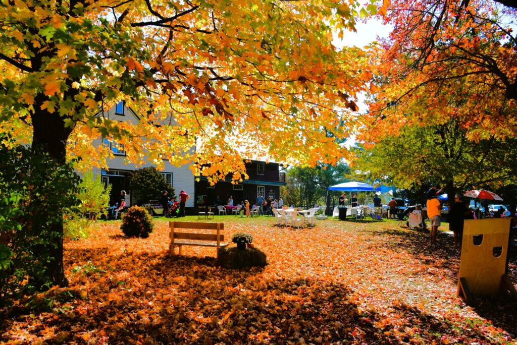 FallFest