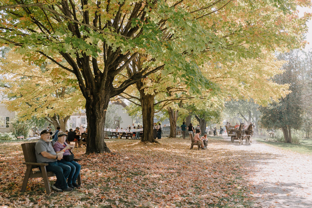 Applefest at Lang Pioneer Village Museum