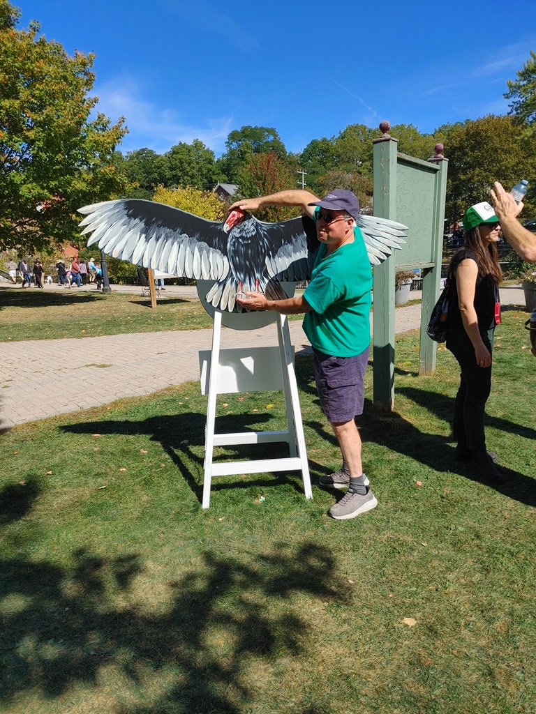 Turkey Vulture Art