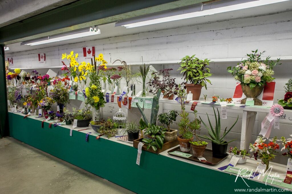 Exhibits at the Milton Fall Fair