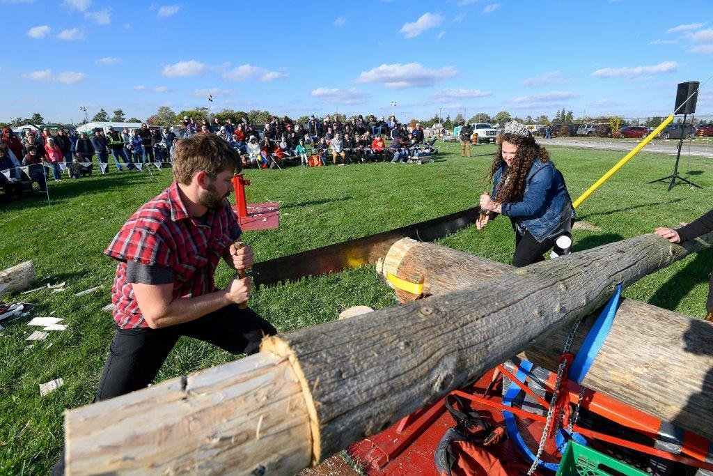 Sawing logs at the Brigden Fair