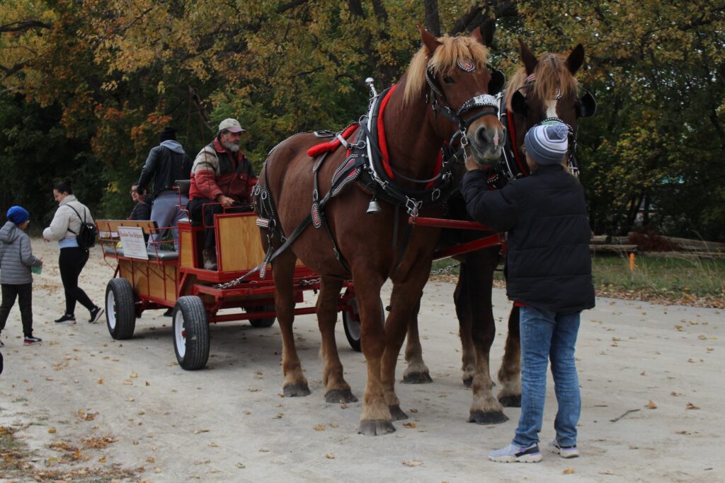 Welcome to the Woodbridge Fall Fair