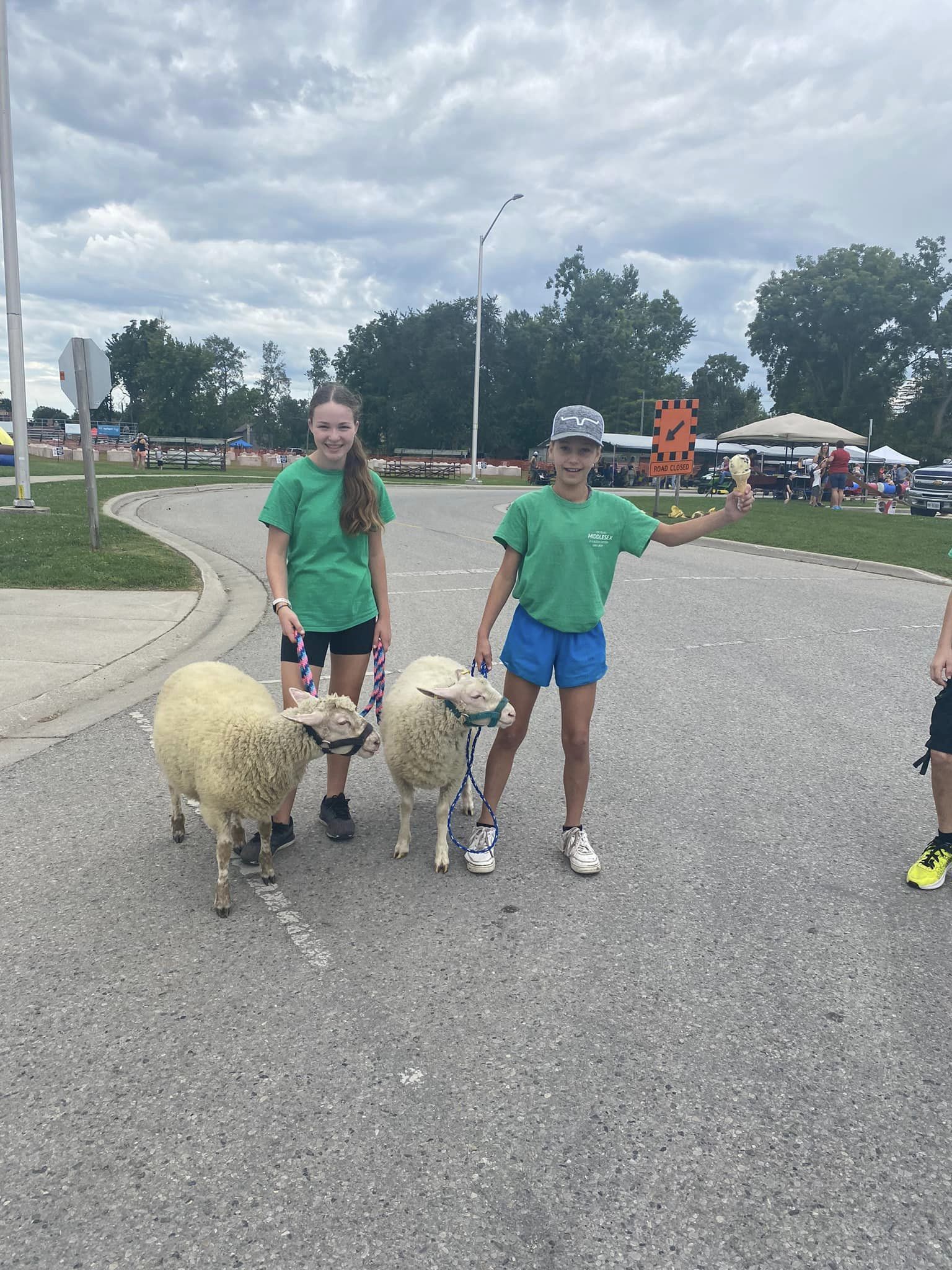 Bringing sheep to the Parhill Fair