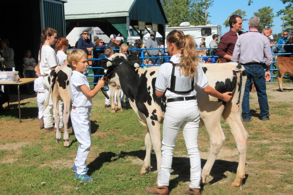 Welcome to the Forest Fall Fair