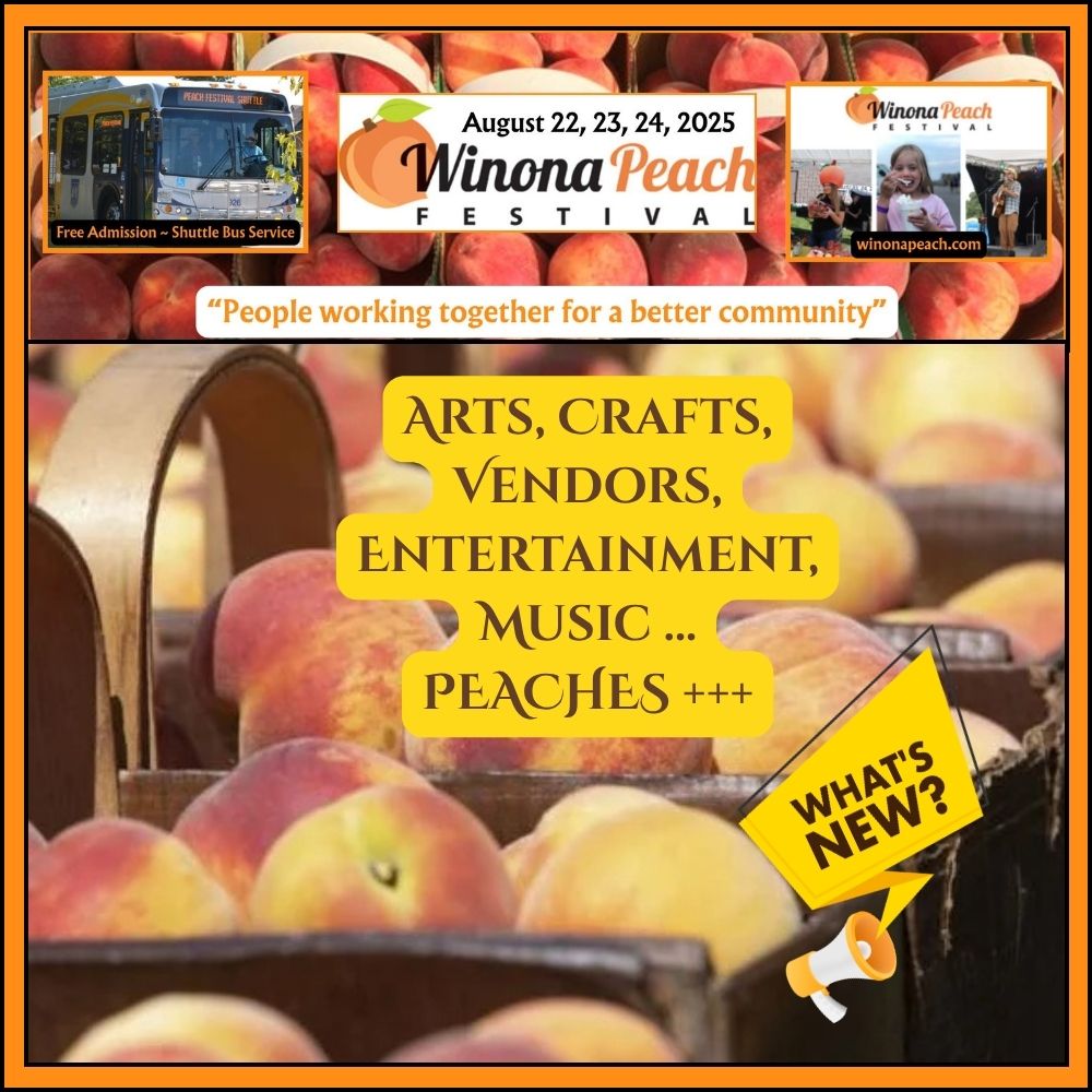 Arts, Crafts and More!