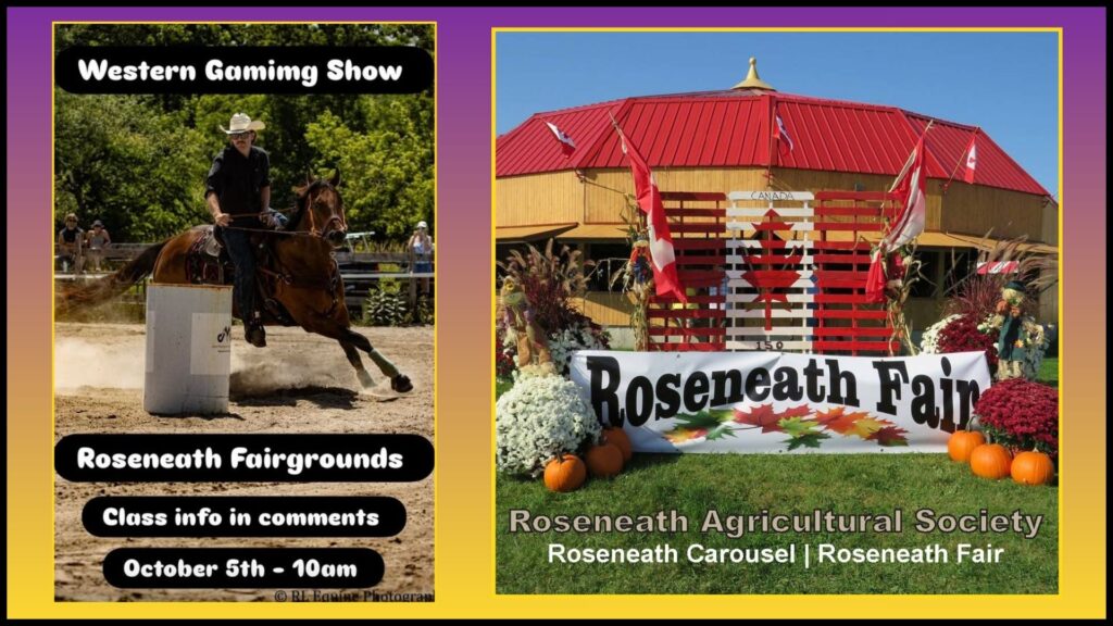 Roseneath Fair