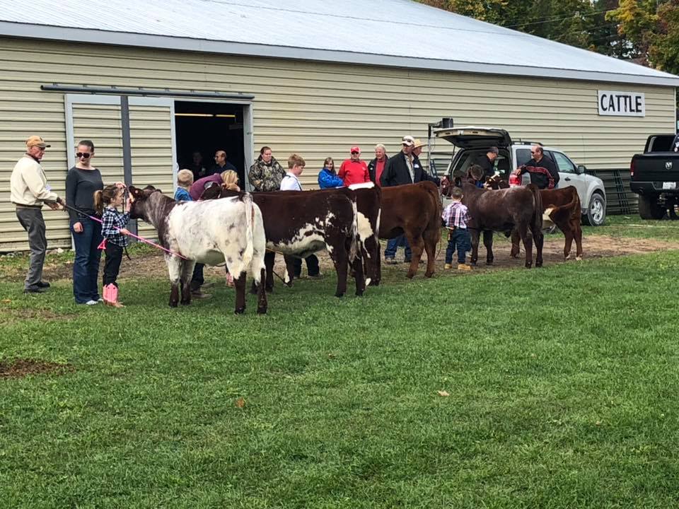 Bobcaygeon Fall Fair