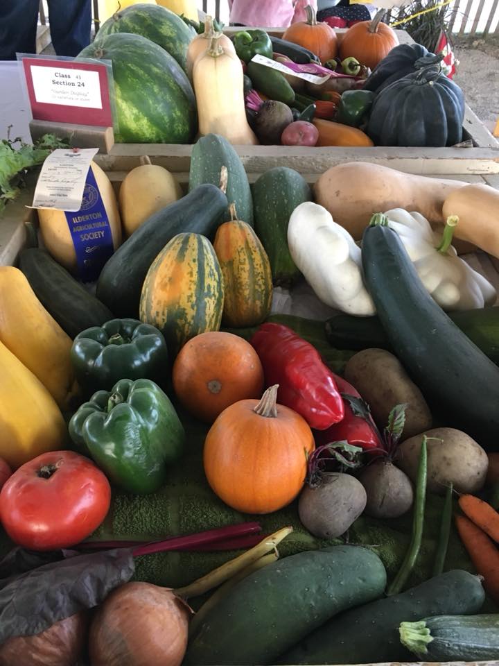 Ilderton Fall Fair
