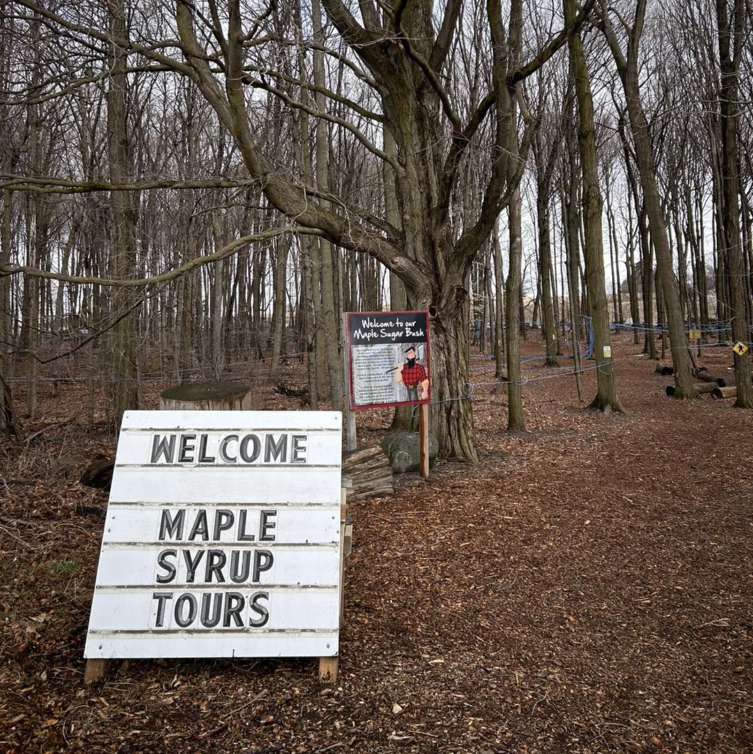 Maple Syrup time at the farm