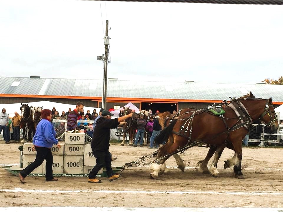 Norwood Fall Fair