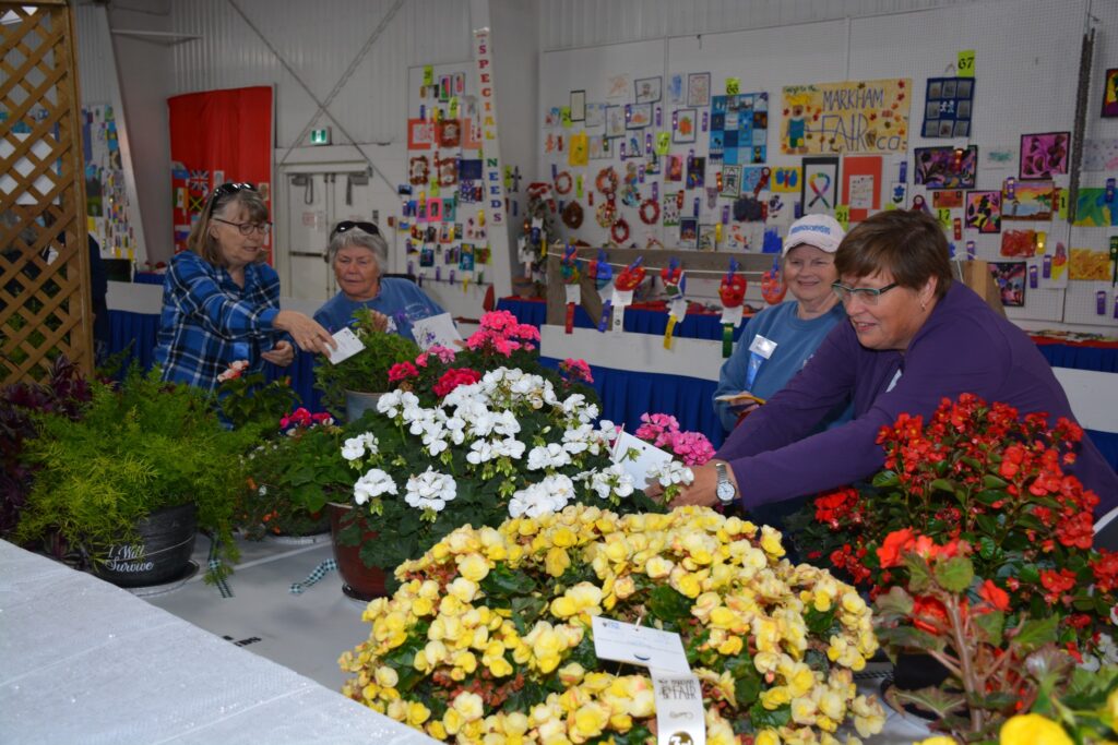 Prize display