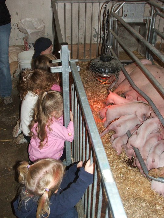 Stratford Fall Fair