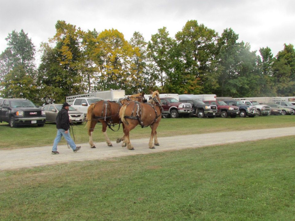 Welcome to the Roseneath Fair