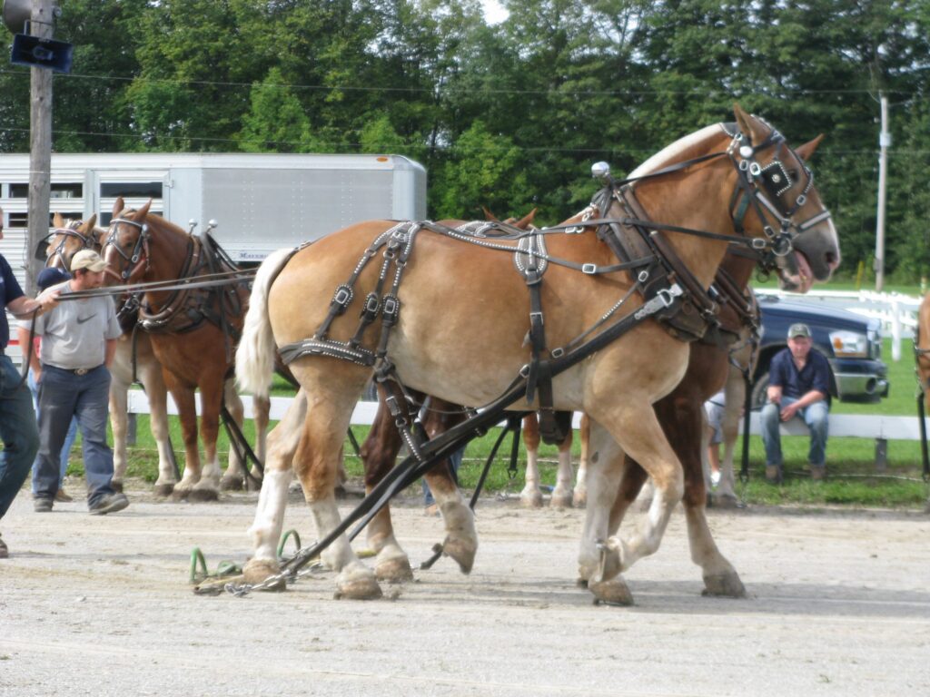Orillia Fall Fair