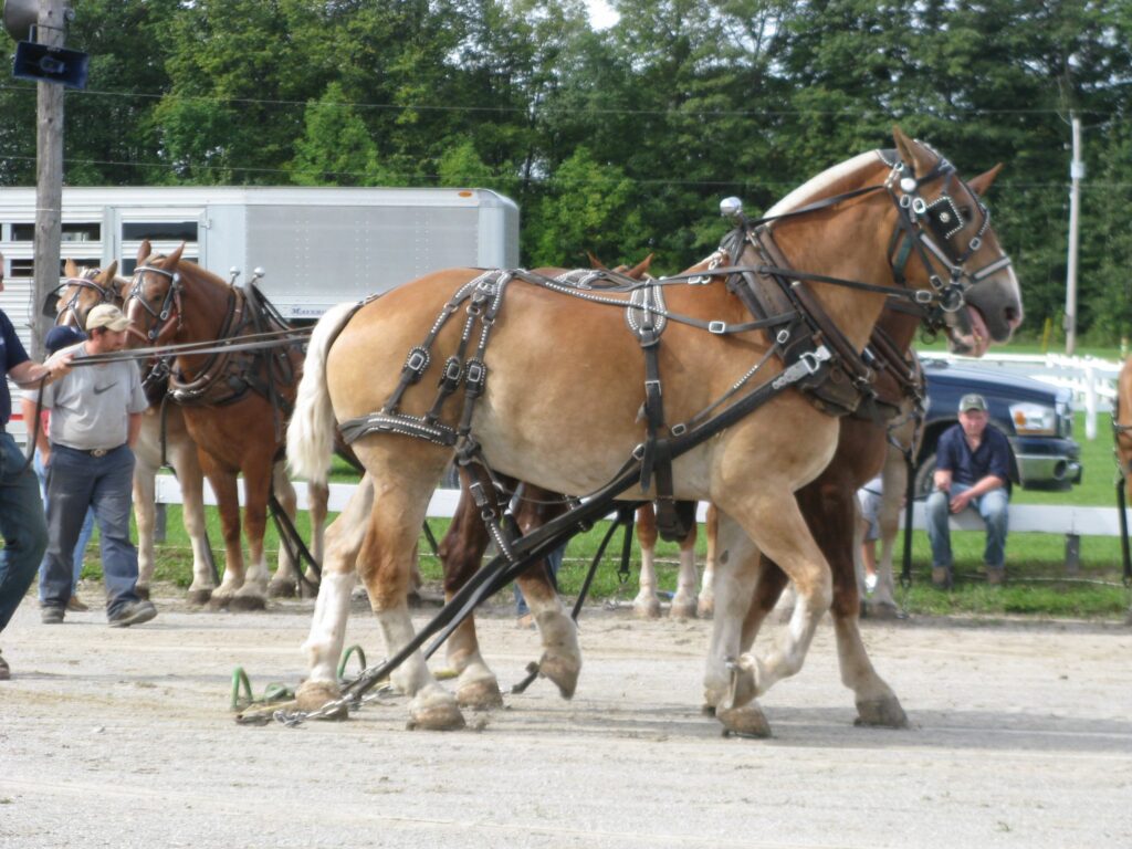 Welcome to the Orillia Fall Fair