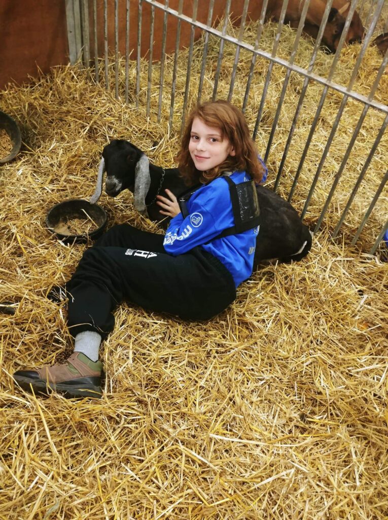 Norwood Fall Fair 
