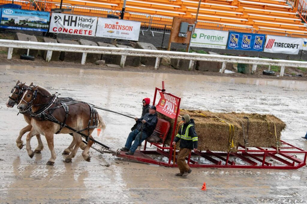 Norfolk County Fair and Horse Show