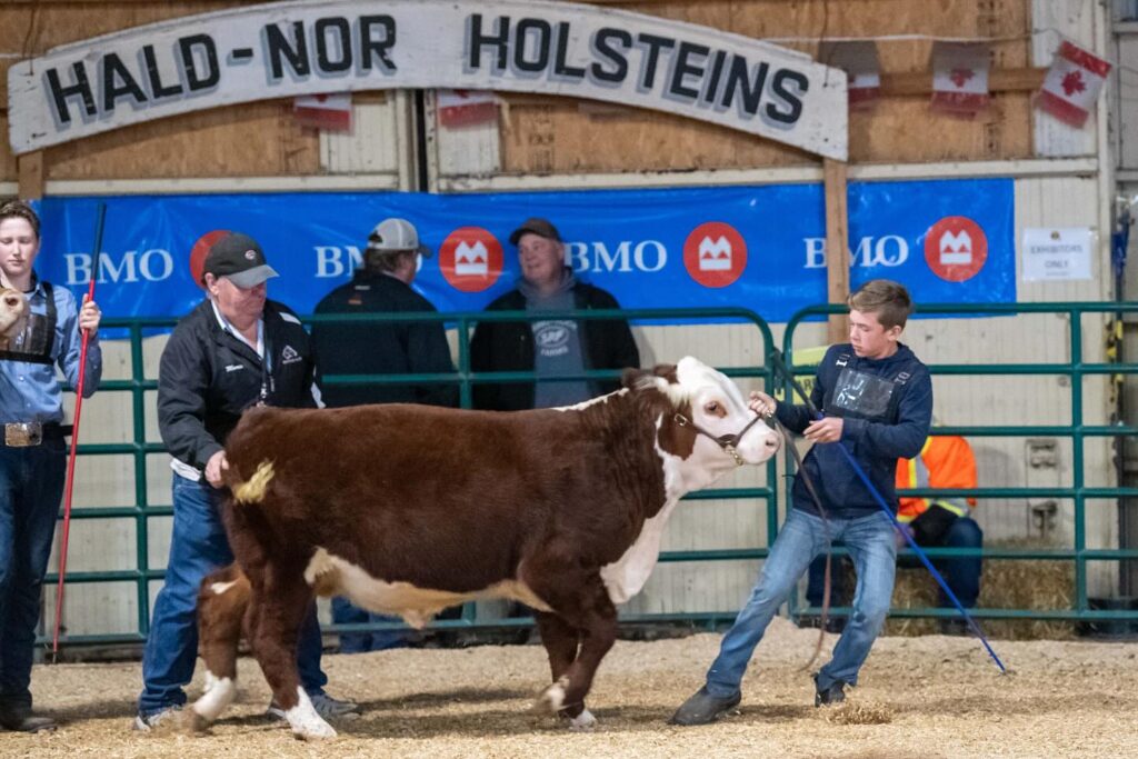 Norfolk County Fair and Horse Show