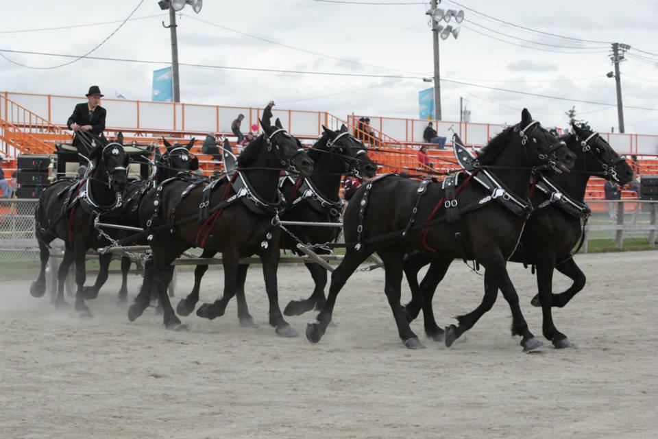 Markham Fair