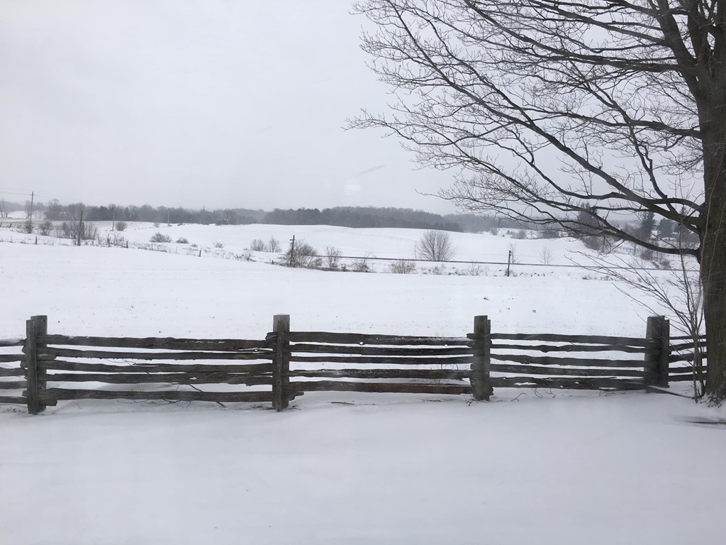 Looking out onto the fields