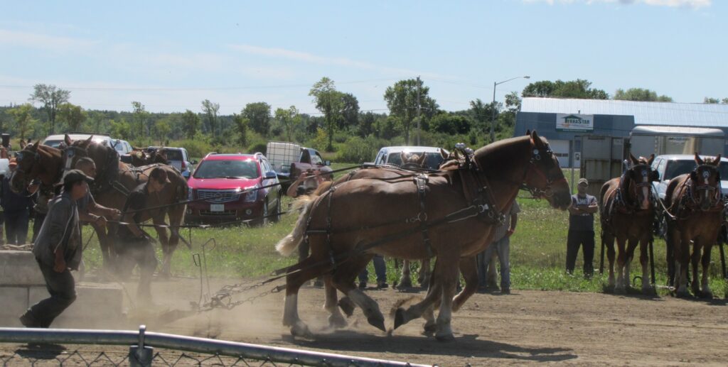 Manitowaning Fall Fair