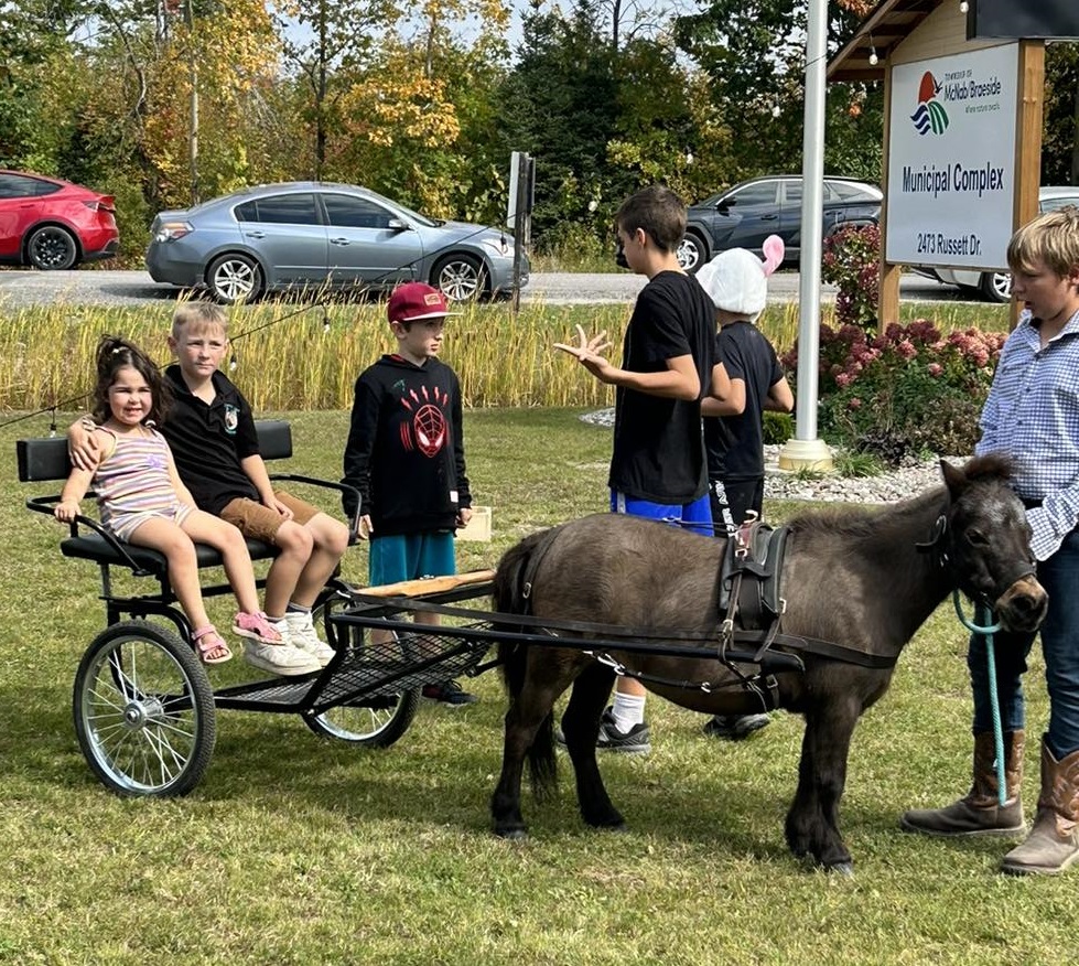 Valley Agricultural Festival