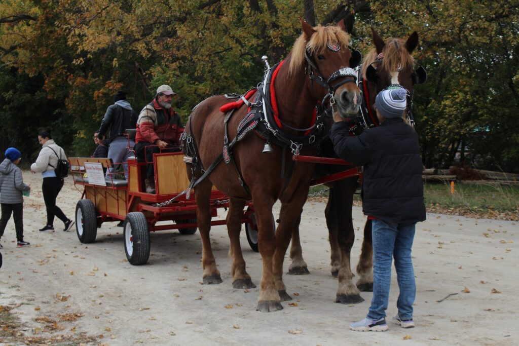 Woodbridge Fall Fair