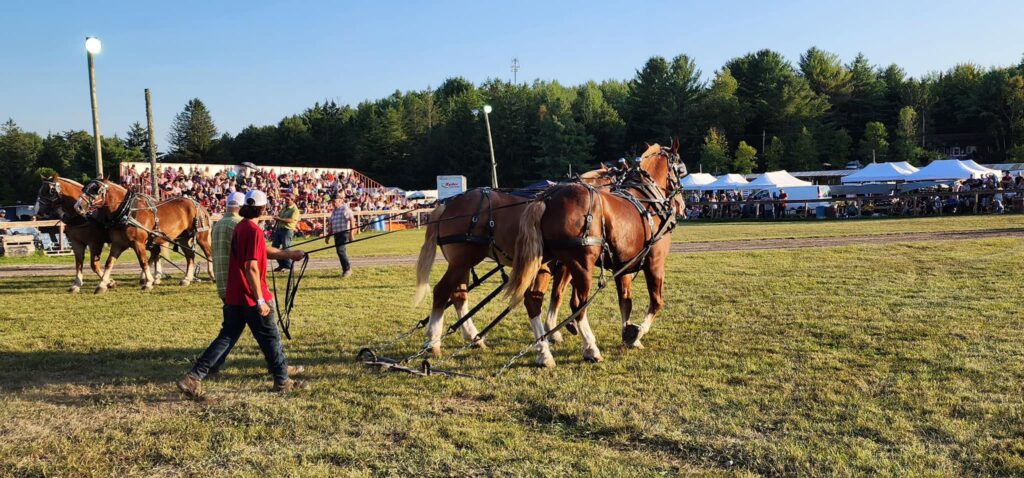 Kinmount Fall Fair